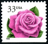 Coral Pink Rose Issues 1999-2000