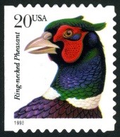 Ring-necked Pheasant Issues 1998-1999