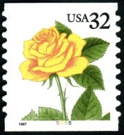 Roses Issue 1993-1997